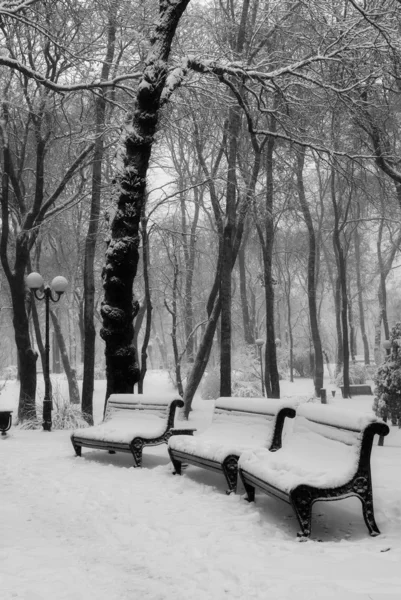 Benchs στο χιόνι στο πάρκο του χειμώνα — Φωτογραφία Αρχείου