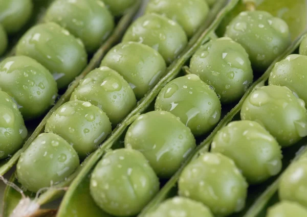 Green peas in pods — Stock Fotó