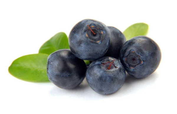 Blueberry met bladeren — Stockfoto