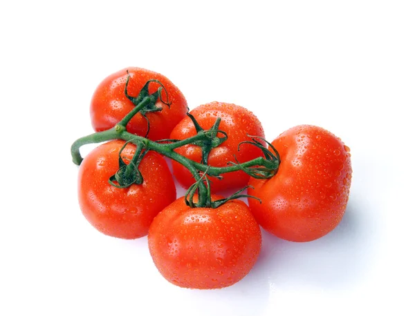 Red tomatoes on a branch — Stock Photo, Image