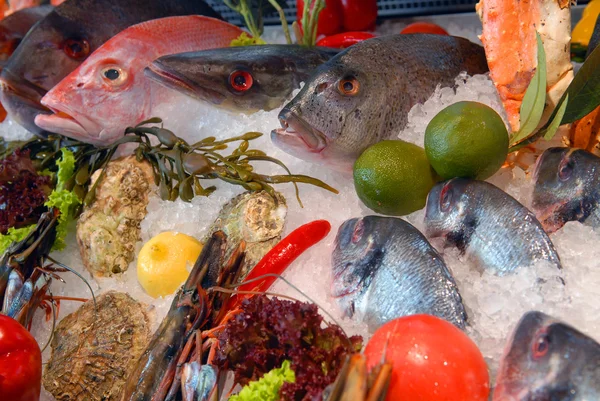 물고기 대 중 음식점의 창 표시 — 스톡 사진