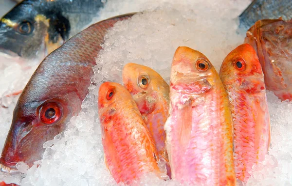 Show-window seafood — Stock Photo, Image