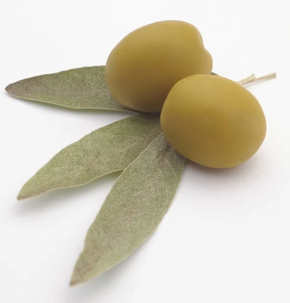Grüne Olive auf Zweig — Stockfoto
