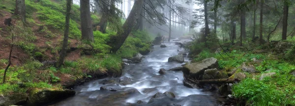 Bieżący rzeki prut we mgle — Zdjęcie stockowe