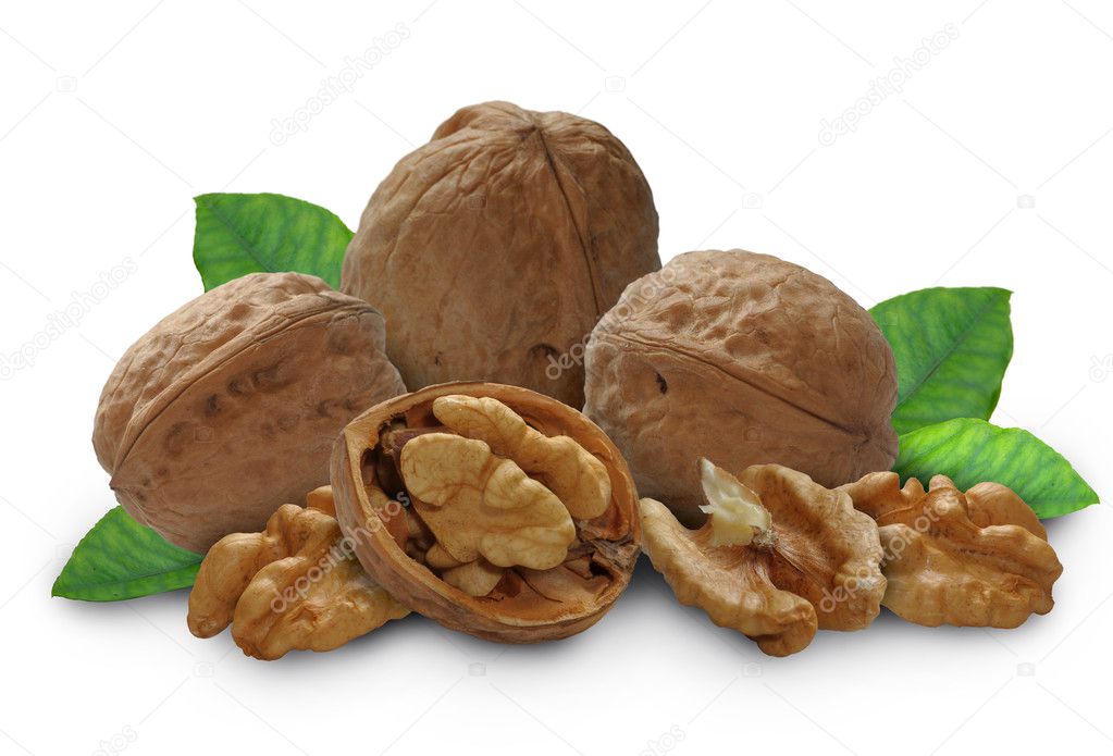 Walnut with leaves and a shell