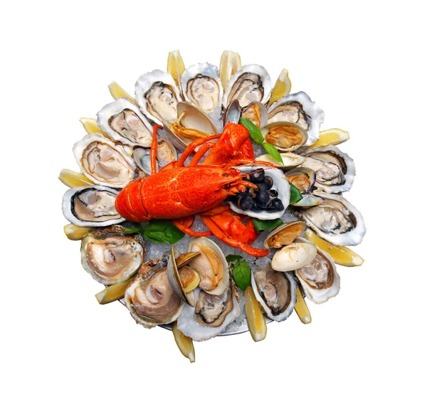 Коктейль из морепродуктов с лобстером — стоковое фото