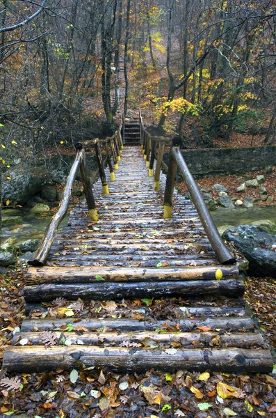 Die Brücke aus Baumstämmen durch den Fluss — Stockfoto