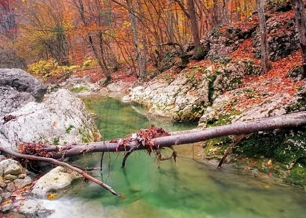 Die Brücke aus Baumstämmen durch den Fluss — Stockfoto