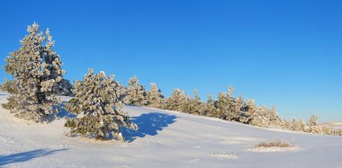 Fur in snow clipart