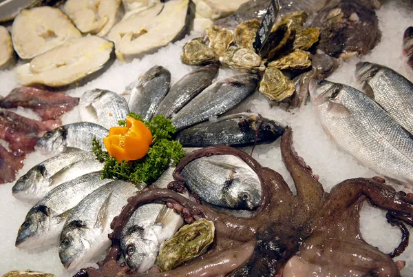 생선이 게의 진열창 — 스톡 사진