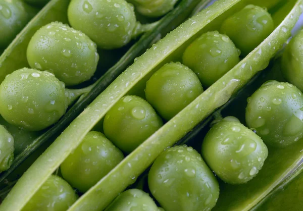 Green peas in pods — Stock Fotó