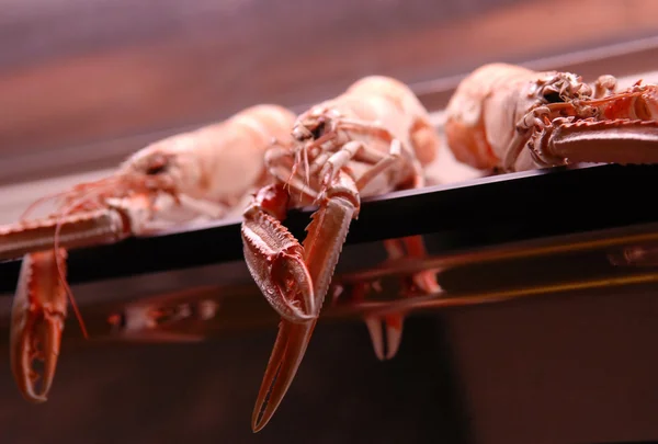 Lobsters em uma janela de demonstração — Fotografia de Stock