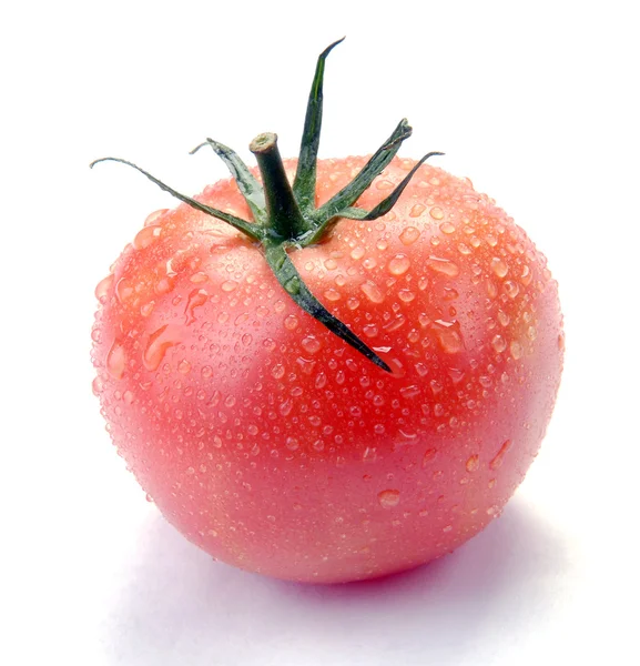 Tomate aux gouttes — Photo