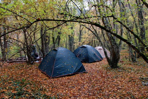 Drei nasse Zelte aus Holz im Regen — Stockfoto