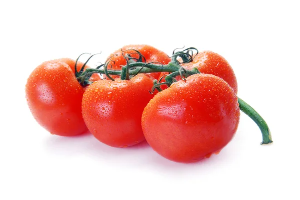 Red tomatoes on a branch Stock Photo