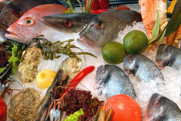 Visa-fönstret på fiskrestaurang — Stockfoto