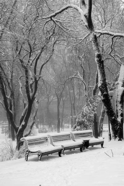 Tiendas en nieve en el parque de invierno — Foto de Stock