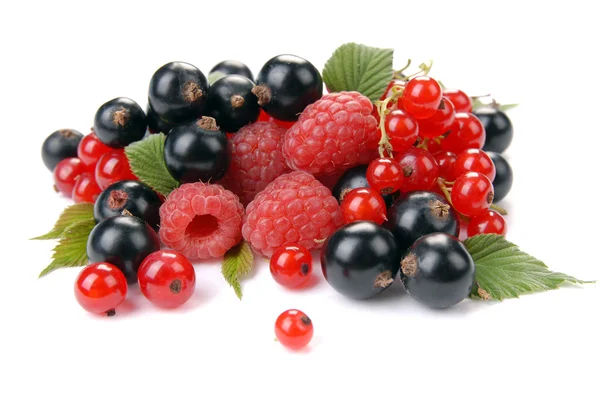 Raspberry , red and black currant — Zdjęcie stockowe
