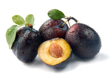 Plum and a half clipart