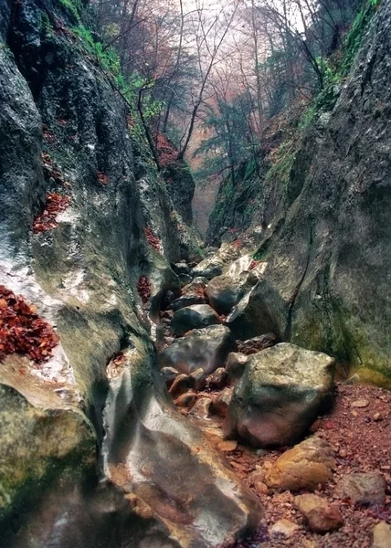 Gorge of the Grand Canyon of Crimea — Stock Photo, Image