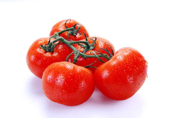 Červená rajčata na větvi — Stock fotografie