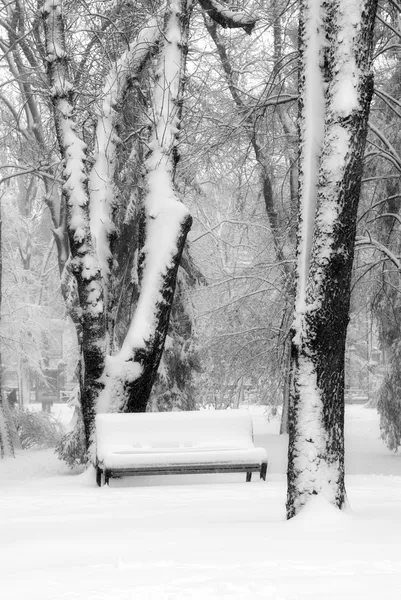 Benchs w śniegu w zimie park — Zdjęcie stockowe
