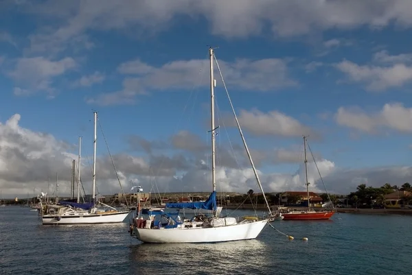 Ein mariner Bonaire — Stockfoto