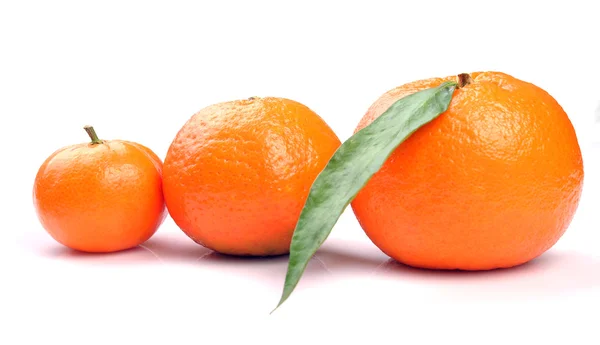 三颗橘子 — 图库照片