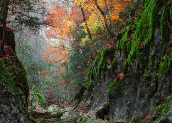 Gorge of the Grand Canyon of Crimea — Stock Photo, Image