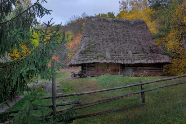 Дом Карпат с телегой — стоковое фото