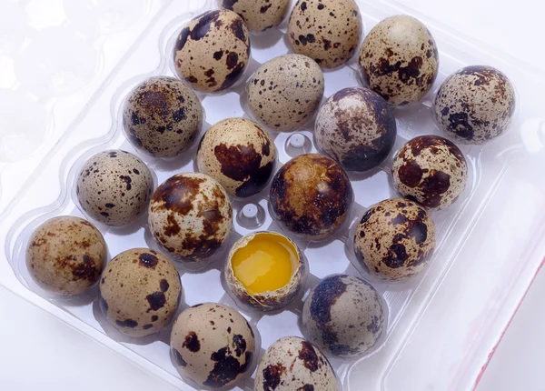 Eggs female quail — Stock Photo, Image