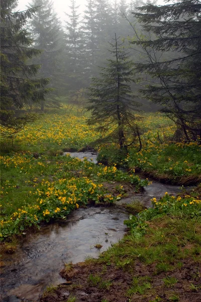 Górski potok wśród — Zdjęcie stockowe