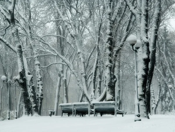 Καταστήματα στο χιόνι στο πάρκο του χειμώνα — Φωτογραφία Αρχείου