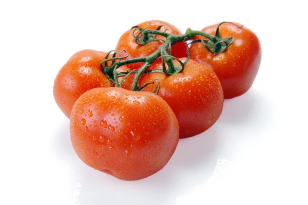 Red tomatoes on a branch Stock Photo