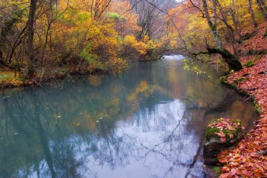 Chernorechensky canyon of Crimea clipart