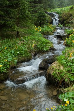 Mountain stream among stones clipart