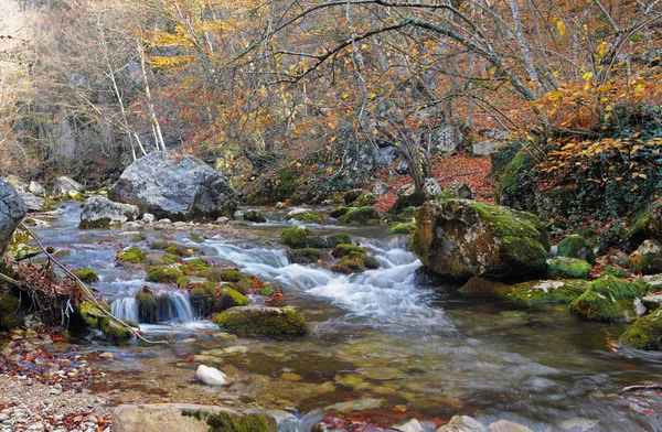 De rivier berg in beukenhout — Stockfoto