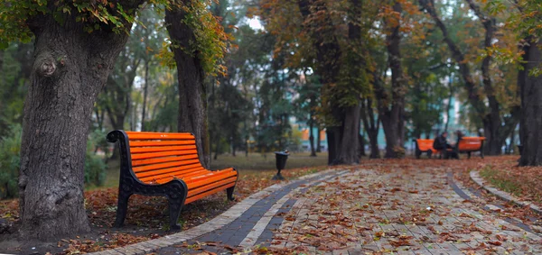Benches in city park — Stock Photo, Image