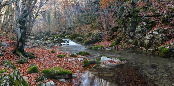 El río de montaña en beechen — Foto de Stock