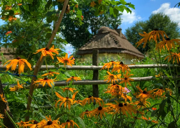 Stock image The house with a straw roof