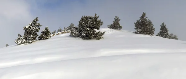 Plateau panorama Ah-petri en el invierno — Foto de Stock