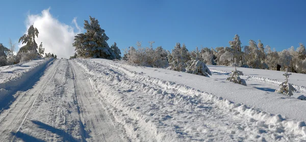冬季道路 — 图库照片