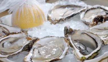 Oysters in ice with a lemon clipart