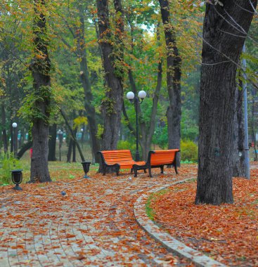 Benches in city park clipart