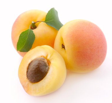 Apricot clipart