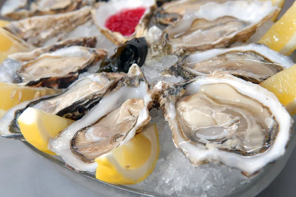 Oysters in ice with a lemon — Stock Photo, Image