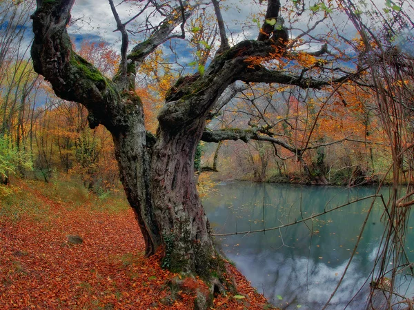 Cañón Chernorechensky — Foto de Stock