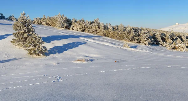 Platån panorama ah-petri på vintern — Stockfoto