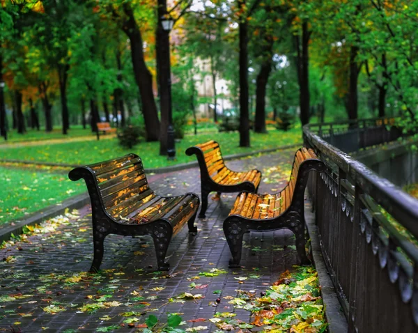 Φθινόπωρο φύλλο σε ένα παγκάκι στο πάρκο της πόλης — Φωτογραφία Αρχείου