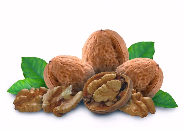 Орех с листьями и раковиной — стоковое фото